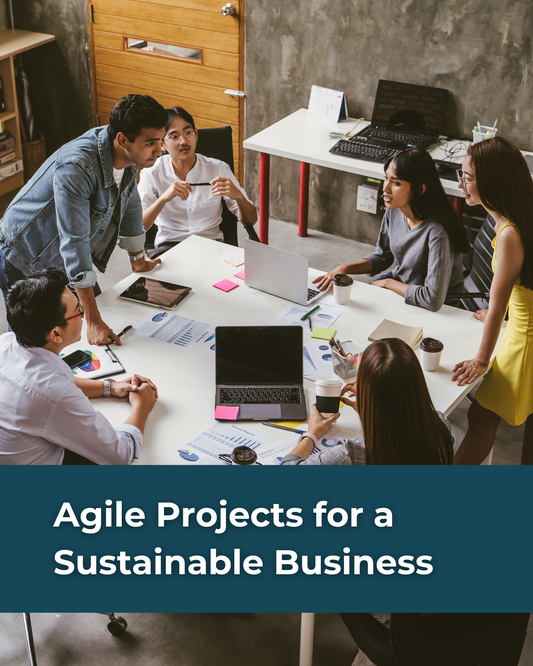 Agile Projects for a Sustainable Business